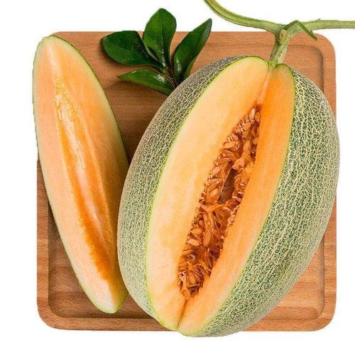 116.su吃瓜网,揭秘娱乐圈最新热点，带你畅游八卦海洋