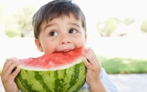 娱乐吃瓜君吐槽二豆,二豆事件真相揭秘