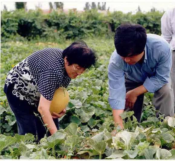 新疆吃瓜网红事件后续,真相发酵，网络舆论风向转变